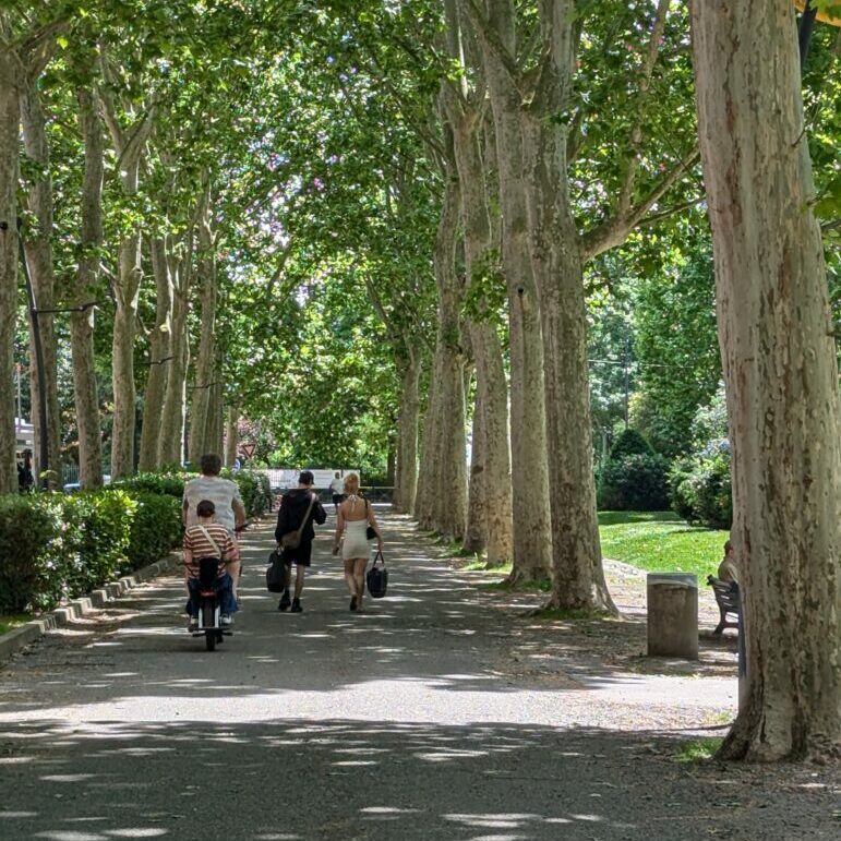 PXL_20250514_125654190